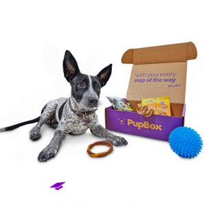 National Puppy Day $5.00 Pupbox @ Petco