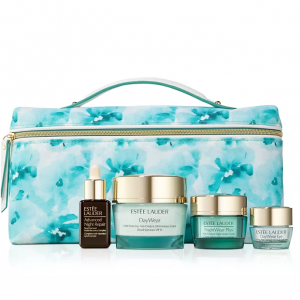 Estée Lauder 全日防护抗氧化套装