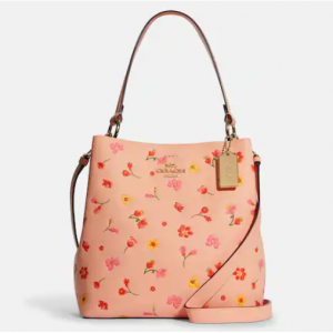 Coach Town 水桶包