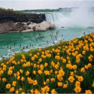 Niagara Falls, ON, Canada Stays from C$ 45+ @HotelsCombined CA