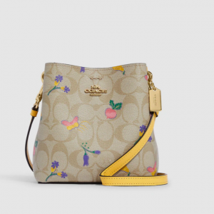 70% Off Coach Outlet Mini Town Bucket Bag In Signature Canvas With Dreamy  @ Shop Premium Outlet