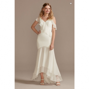 David's Bridal Asymmetrical Neck Chiffon Dress with Ruffled Hem