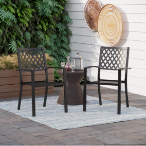 PHI VILLA 2-Piece Outdoor Patio Metal Dining Chairs for Garden,Backyard