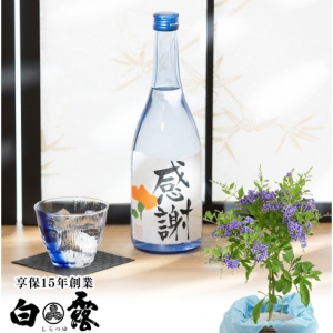 デュランタ鉢植えセット「白露酒造　白露 感謝ラベル」
