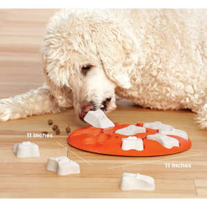 Outward Hound Nina Ottosson Dog Smart Orange Interactive Treat Puzzle Dog Toy @ Amazon