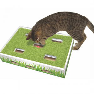 Petstages 仿真草皮貓貓玩具盒 @ Amazon