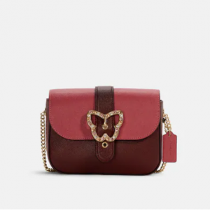 70% Off Coach Outlet Gemma Crossbody In Colorblock With Butterfly Buckle @ Shop Premium Outlets