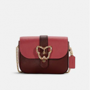 70% Off Coach Gemma Crossbody In Colorblock With Butterfly Buckle @ Coach Outlet