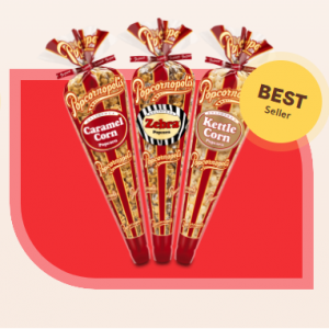 Regular Cone Premium Assortment. Pack of 24