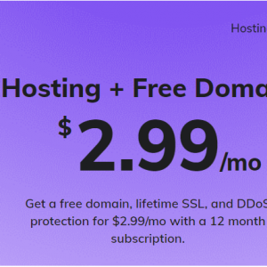Hostinger: Premium Shared Hosting for 2.99 + Free Domain (with 12 months plan.)