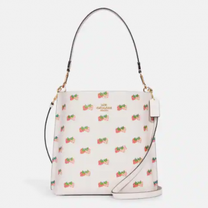 70% Off Coach Mollie Bucket Bag With Strawberry Print @ Coach Outlet