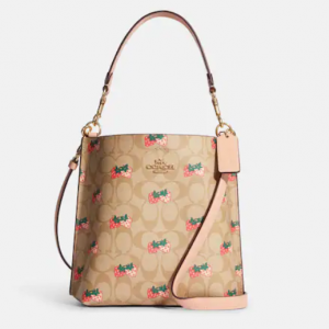 70% Off Coach Mollie Bucket Bag 22 In Signature Canvas With Strawberry Print