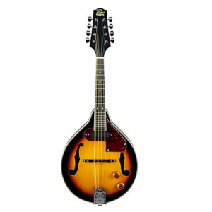 Rogue RM110AE Acoustic-Electric A-Style Mandolin Sunburst @ Musician's Friend