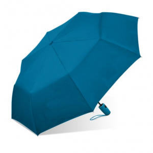 Weather Station Automatic Super Mini Umbrella @ Walmart