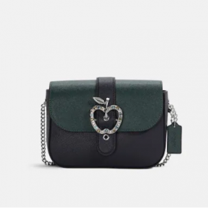 70% Off Coach Gemma Crossbody In Colorblock With Apple Buckle @ Coach Outlet