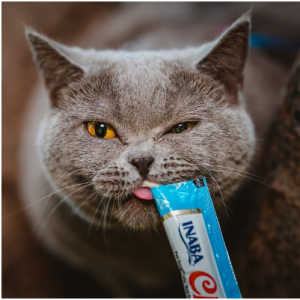 Inaba Churu Cat treats On Sale @ Chewy