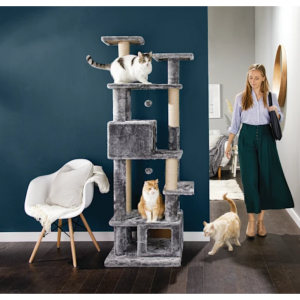 EveryYay Cat Trees & Towers Sale @ Petco