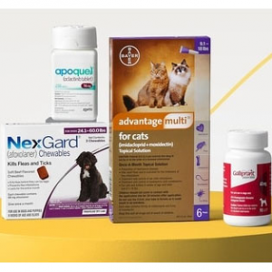 Pet Pharmacy Offer @ Chewy 