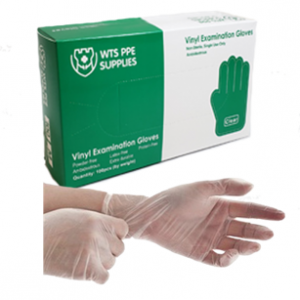 WTS 4Mil 乙烯基防护手套 100 件装