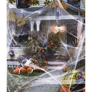 41件万圣节蜘蛛网装饰