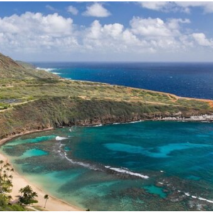 Tour of North Shore (70%) and Sightseeing (30%) from $139 @TripAdvisor