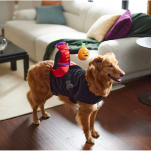 Frisco 无头骑士狗和猫服装