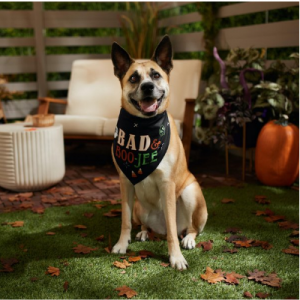 Frisco Bad & Boo-Jee 狗和猫服装头巾