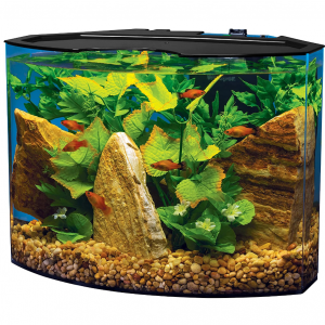 Tetra Aquarium Kit, Fish Tank with Filter & Lights @ Amazon