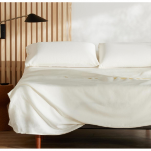 Purple Complete 舒适床单套装，Queen