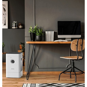 Boneco Air O 瑞士加湿器和空气净化器 H300