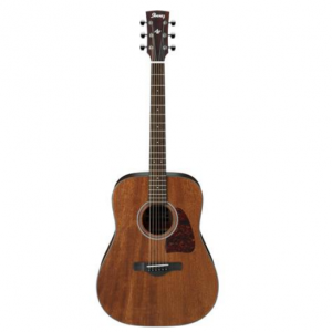 Ibanez Artwood Series AW54 Dreadnought Acoustic Guitar, Rosewood Fretboard, Open Pore Natural