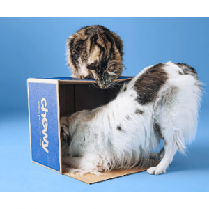 Chewy Early Cyber Deals 