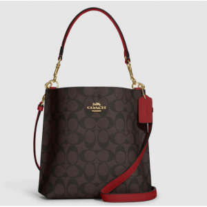 Coach Outlet Mollie 22 水桶包