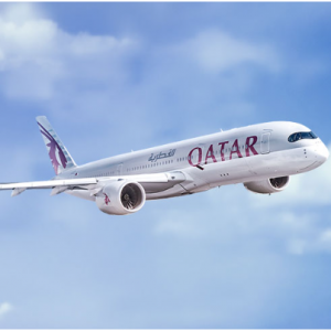 Qatar Airways - 探索非洲荒野之旅，商务舱机票直降$350