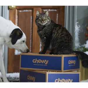 Chewy Black Friday Sale