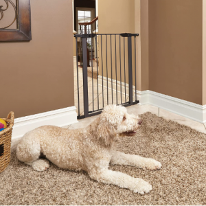 Up to 40% Off MidWest Homes for Pets @ Amazon