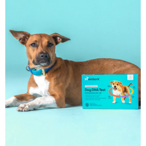 Embark 狗狗DNA+健康检测测试包
