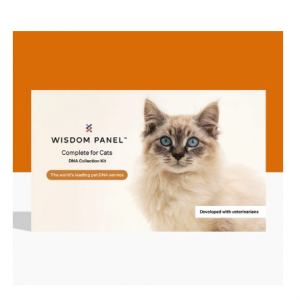Wisdom Panel Complete Cat DNA Test, 1 count @ Chewy
