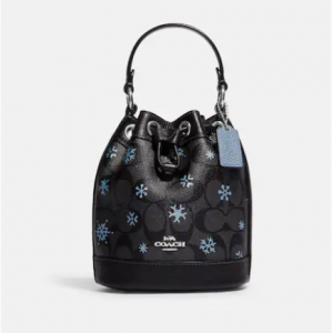 Dempsey Drawstring Bucket Bag 15 In Signature Canvas With Snowflake Print Sale @ COACH Outlet 