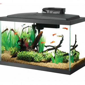 Aqueon LED 10 Gallon Aquarium Kit, 22.88" L X 12.75" W X 13.88" H @ Petco