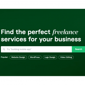 Find The Perfect Freelance Services for Your Business @ Fiverr