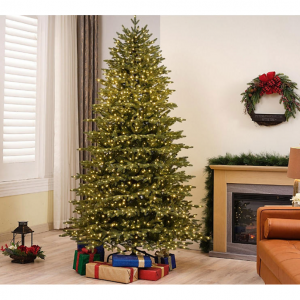 Sam's Club Christmas Trees Sale