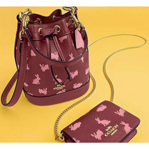 Lunar New Year Mini Dempsey Bucket Bag With Rabbit Print Sale @ COACH Outlet