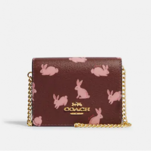 Coach Lunar New Year Mini 链条包