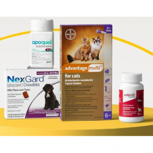 20% Off Your First Chewy Pharmacy @ Chewy