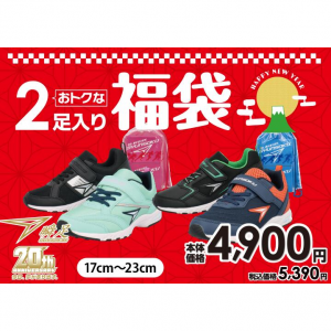 【福袋】瞬足(シュンソク) 2足入り、各限定 120セット｜G-FOOT shoes marche