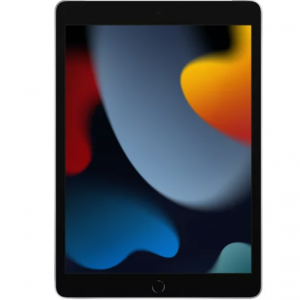 $80 off 2021 Apple 10.2-inch iPad Wi-Fi 64GB - Silver (9th Generation) @Walmart