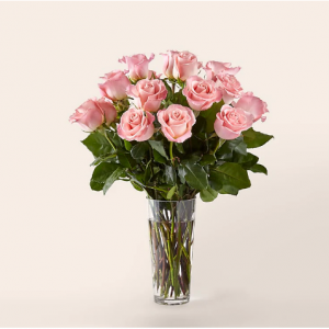 18朵長莖粉色玫瑰花束，Deluxe