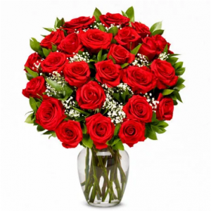 2打長莖紅玫瑰,Regular