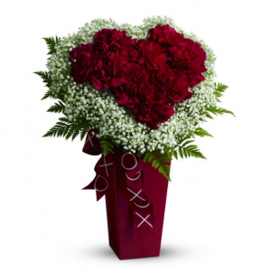 紅色康乃馨和白色 Million Star 滿天星心形花束 - Deluxe